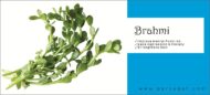 Brahmi Leaves Powder (Bacopa Monnieri) 100 Gram - Image 5