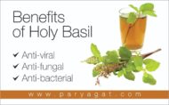 Tulsi Drops for immunity 15ml - Image 3